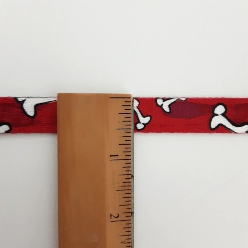 New Dog Collar and Leash Set